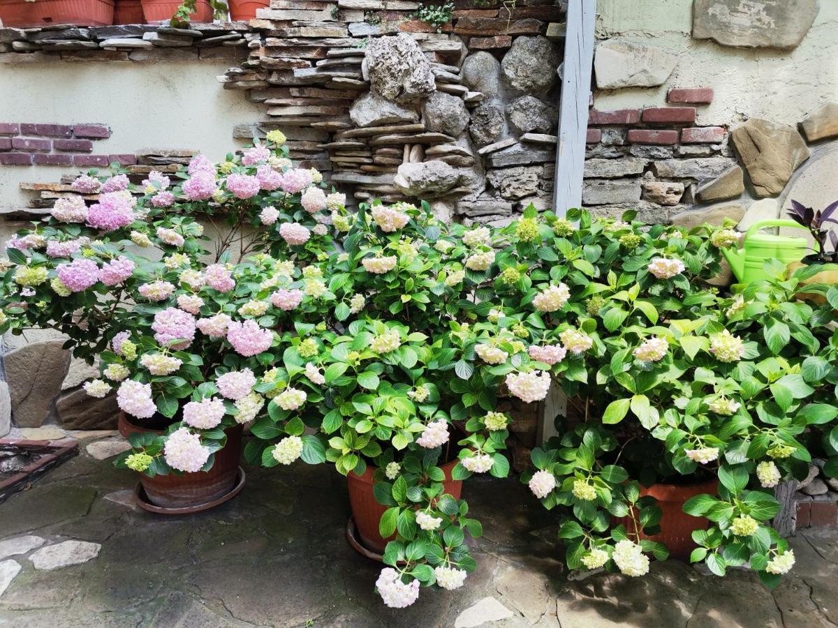 נסבר Guest Rooms Melsambria מראה חיצוני תמונה