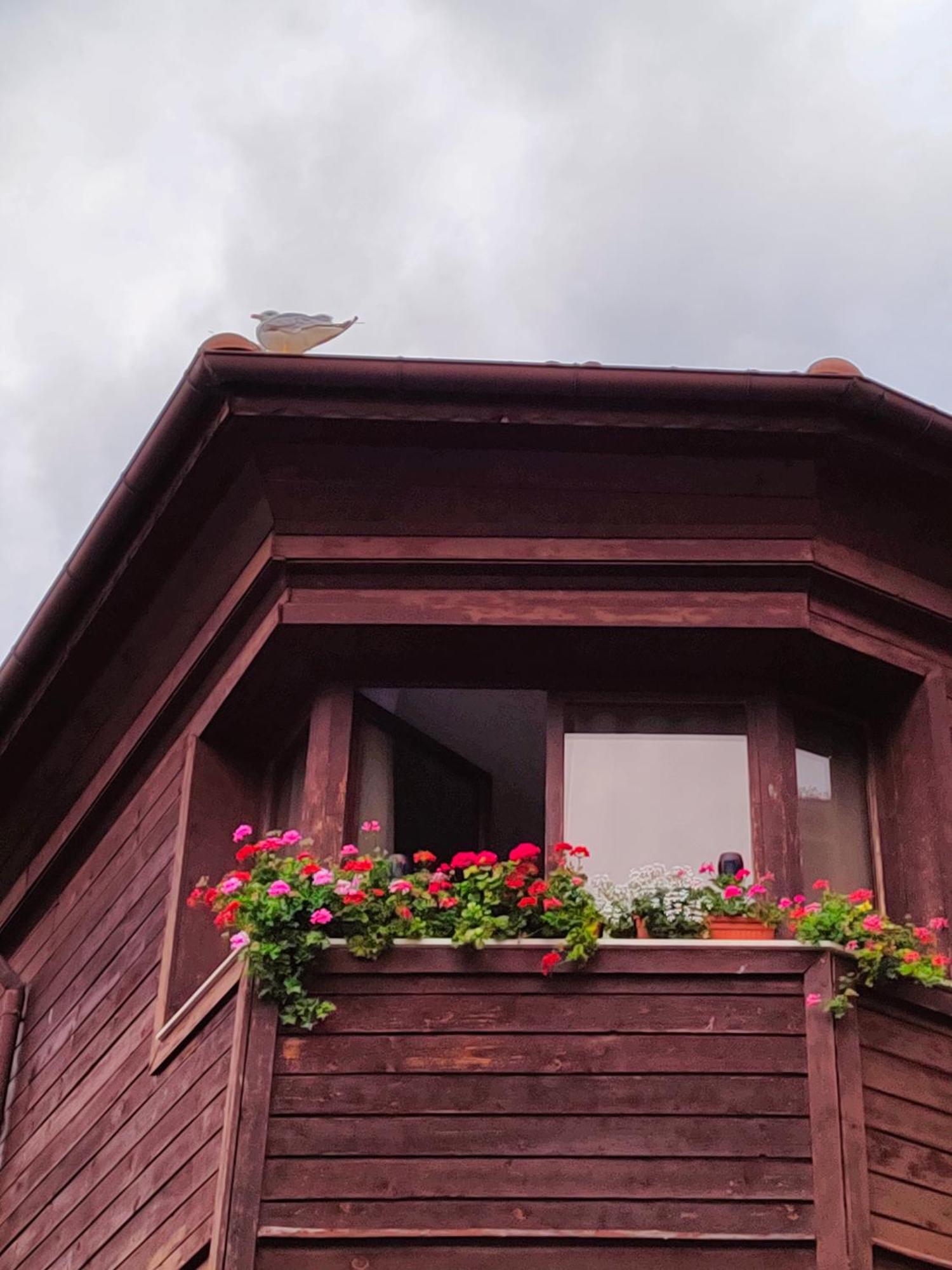 נסבר Guest Rooms Melsambria מראה חיצוני תמונה